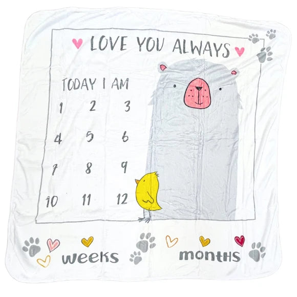 Meraki Baby Milestone Blanket for Babies with Interactive Set Included