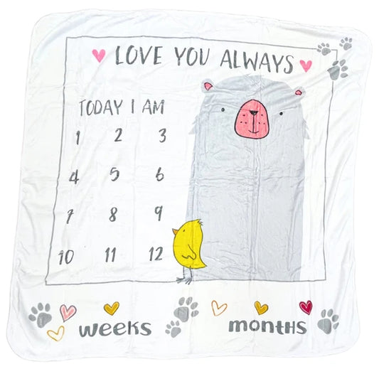 Meraki Baby Milestone Blanket for Babies with Interactive Set Included