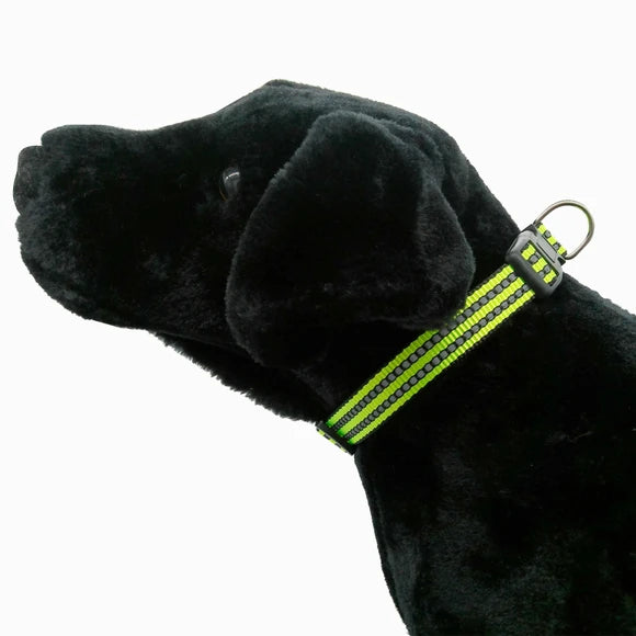 Adjustable Reflective Dog Collar -Assorted Colors