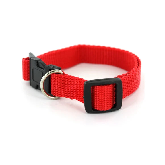 Dukes Adjustable Nylon Dog Collar